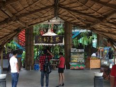 -The Ring Pavilion 魔幻森林