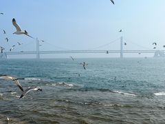 -星海广场