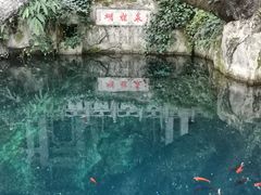 -蝴蝶泉公园