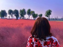 -汉长安城未央宫国家考古遗址公园