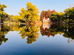 -上海共青森林公园