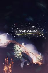 -格乐利雅婚礼艺术中心(南外滩店)