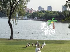 -黄兴公园