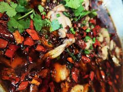 -周姑娘不等味·牛羊肉火锅·螃蟹罗氏虾·烤鱼烤串(高邮店)