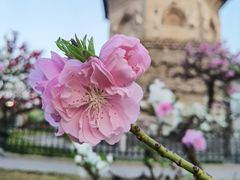 -玲珑塔公园
