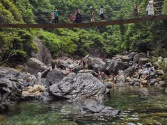 -石台牯牛降景区