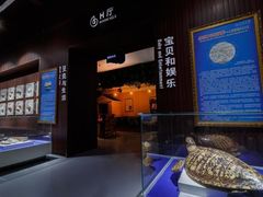 -贝壳王国博物馆