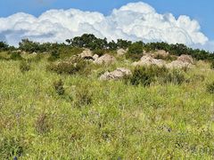 -白草畔自然风景区