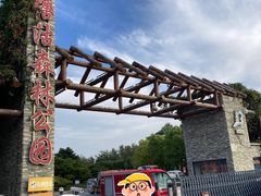 -塘沽森林公园