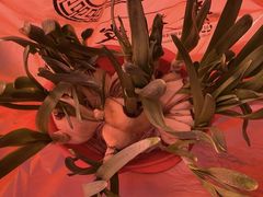 -中环花鸟鱼虫市场