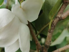 -长春公园(普阳街道)