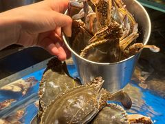 -亚马逊蒸汽活海鲜自助(LCM置汇旭辉广场店)