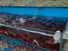 -港畔赶海蒸汽海鲜烧烤自助(仙螺岛店)