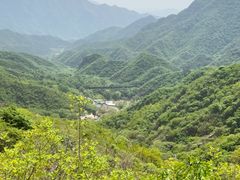 -大岭沟猕猴桃谷风景区