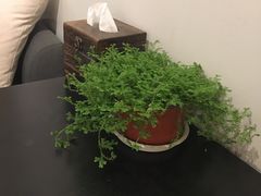 桌面布置-拂晓山房·私房川菜(西门店)