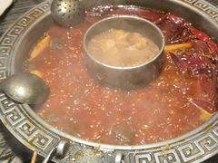 -杨肥肠火锅大排档(火车站花园店)