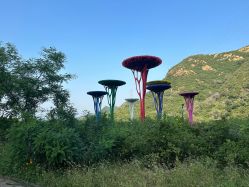 -密云玫瑰情园
