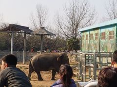 -西安秦岭野生动物园