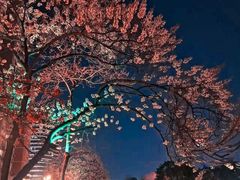-红星桥(地铁站)