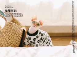 -ZOO KIDS象集摄影工作室(西城公馆店)