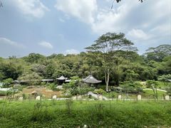 -广州市白云山风景名胜区