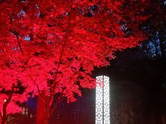 -嘉兴清池酒店温泉