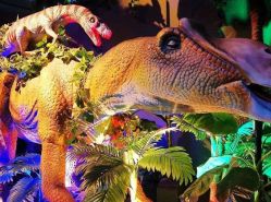 -恐龙探索乐园(磁器口店)