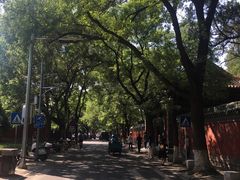 -北京国子监胡同