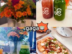 -gaga(深圳南山益田假日广场店)