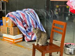 -南泰百货批发市场