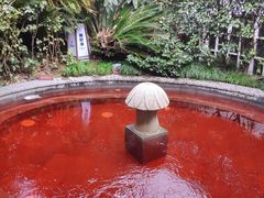 -杭州第一世界大酒店·云曼温泉