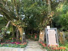 -广州市石门国家森林公园