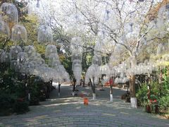 -天目湖山水园