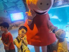 -沈阳海洋探索中心