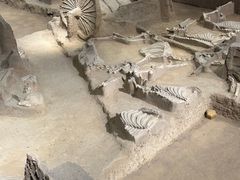 -洛阳周王城天子驾六博物馆