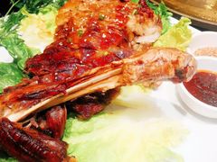 -蒙料·手把肉(望京店)