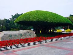 -南宁南湖公园