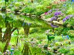 -上海共青森林公园