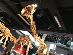 -墨尔本博物馆(Melbourne Museum)