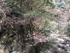 -太湖源风景区