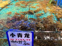 -驻海渔市(置信店)