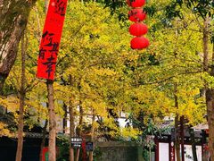 -桂林古东瀑布景区