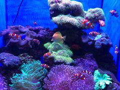 -多彩贵州城极地海洋世界