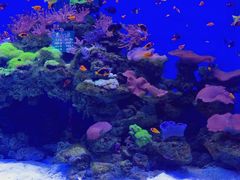 -多彩贵州城极地海洋世界