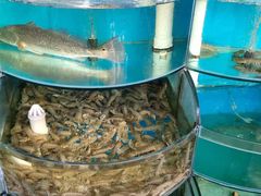 -沿海渔家院蒸汽海鲜·东北菜(东戴河店)