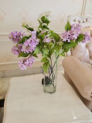 -雪儿海蒂·女性私密整形专科