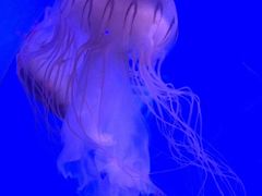 -南昌海洋公园