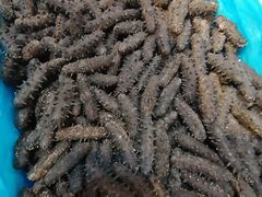 -大连双兴商品城