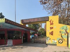 -荆州中山公园动物园