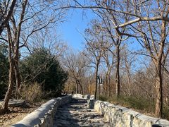 -阳台山自然风景区